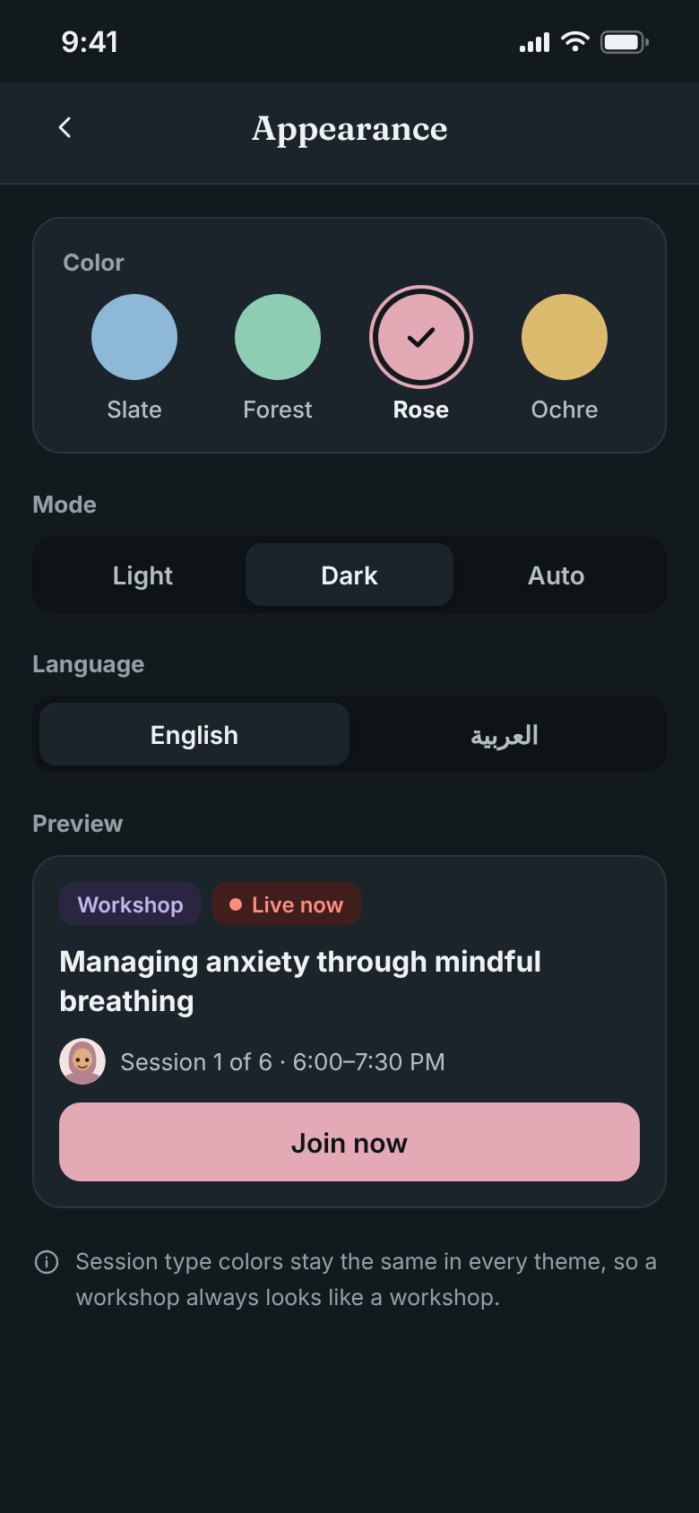 Appearance settings in English dark
